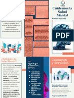 Triptico Enfermeria en Salud Mental I