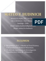 Resume Mateo F Budinich