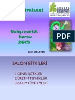 Salon Bitkileri