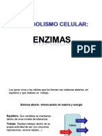 El metabolismo celular: reacciones químicas que permiten la vida