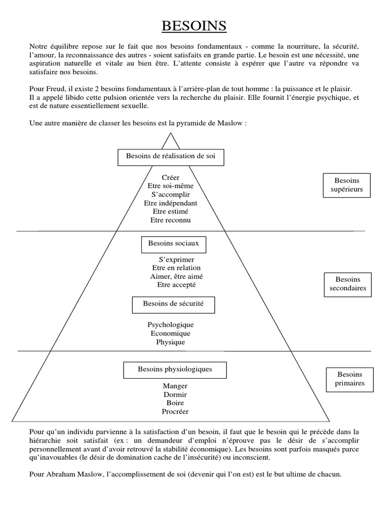 Pyramide de Maslow : besoins fondamentaux | PDF | Sciences cognitives ...