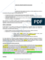 Resumen Digestivo UTILdocx