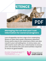Managing The Cat That Wont Eat