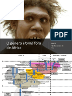 Evolução dos géneros Homo e Australopithecus