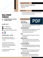 Balveer Resume 1