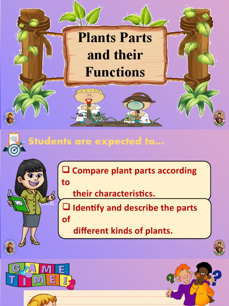 LESSON 2.5 Plants Parts and Their Functions PDF Leaf Plant Stem