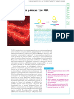 Σύνθεση & μάτισμα του RNA