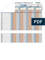 Formato Registro Evidencias Ultimo