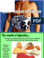 114 Absorption Metabolism