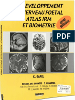 Le Développement Du Cerveau Foetal - Atlas IRM Et Biométrie (2000)