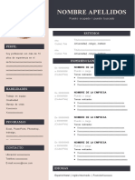 Diseño Curriculum-Vitae-Curriculo - 2