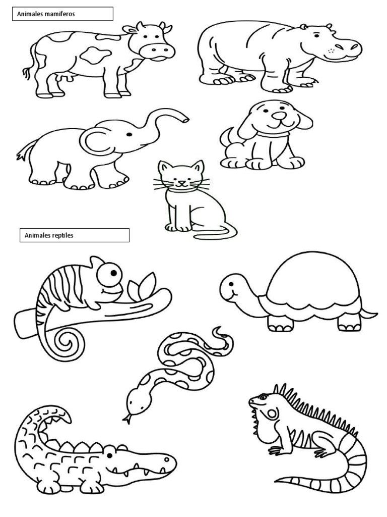 Animales Viviparos y Oviparos para Colorear | PDF