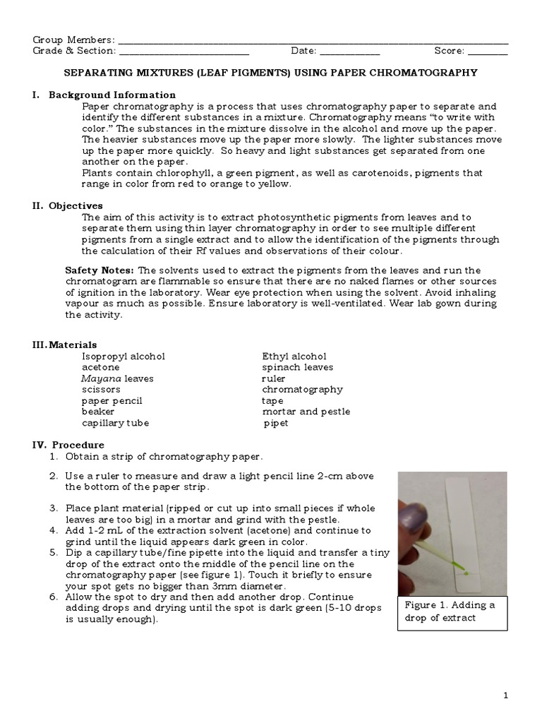 Paper Chromatography Experiment PDF Chromatography Solvent