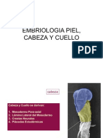 Embriologia Piel Cabeza y Cuello