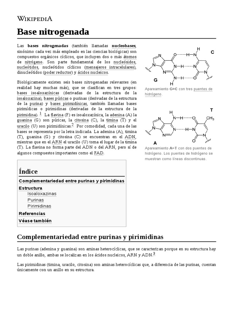 Base Nitrogenada PDF Ácidos orgánicos Sustancias químicas