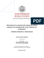 De MontesCarrascoN MovilizaciónNeuraldelNervioMediano Antecedentes Internacionales