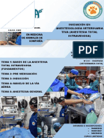Afiche de Anestesiologia1
