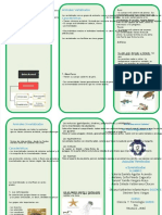 PDF Triptico Animales Vertebrados e Invertebrados - Compress