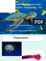 P0001 - File - La Respiración de Los Animales A Ordenar