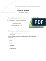 Amoeba Sisters Carbon Cycle Worksheet PDF