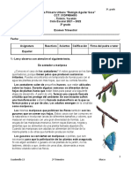 Examen Del 2o. Trimtres de 3o Grado