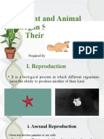 Plant and Animal Organ Systems and