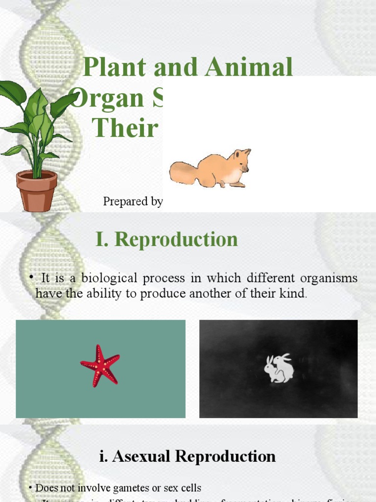Plant and Animal Organ Systems and PDF Reproduction Sexual