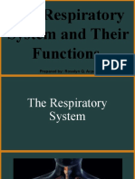 Final Respiratory System