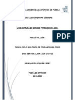 Ciclo Biológico de Trypanosoma Cruzi