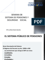 Sistema de Pension y Seguridad Social