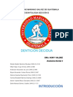 DENTICION DECIDUA