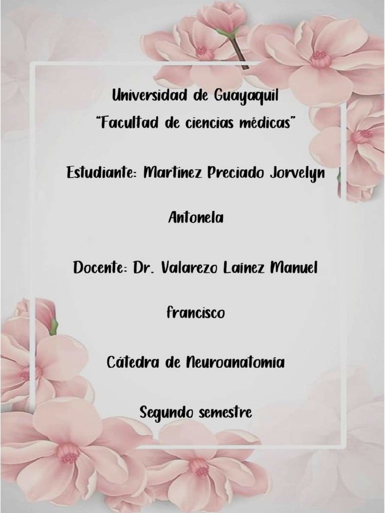 Formación Reticular y Sistema Límbico PDF Hipotálamo Tálamo