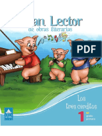 Plan Lector D 1°