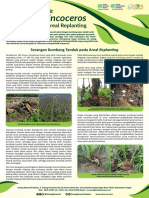 POSTER Oryctes Di Areal Replanting (1) - Compressed