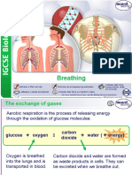 Breathing: 1 of 1 © Boardworks LTD 2014