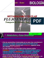 03 FLUJO ENERGÉTICO - Transporte de Energía y Tasa Metabólica