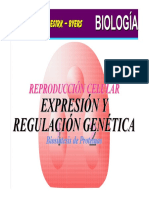 02 EXPRESIÓN Y REGULACIÓN GENÉTICA - Biosíntesis de Proteínas