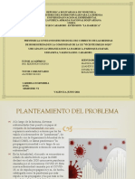 Diapositivas Del Proyecto de Servicio Cominitario