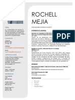 Rochell (Ciberseguridad e Infraestructura de TI)