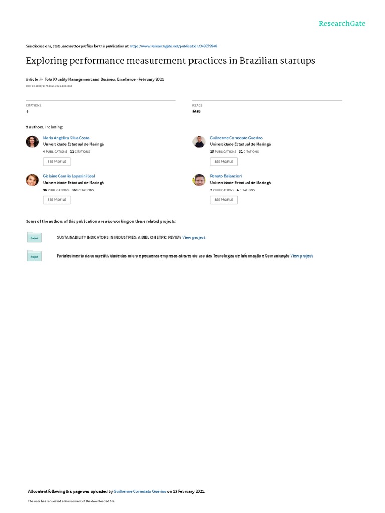 Exploring Performance Measurement Practices in Brazilian Startups | PDF ...