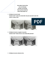 Cinesioterapia Facial - UFPI