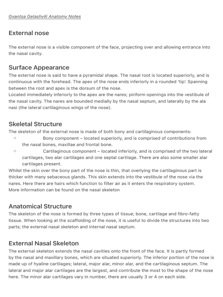 External Nose Anatomy Notes | PDF | Human Nose | Human Head And Neck