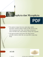 Phycophyta Dan Mycophyta