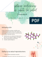 Disruptores Endocrinos. Ana G., Irene P., Carmen V.