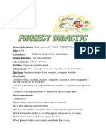 Proiect Didactic