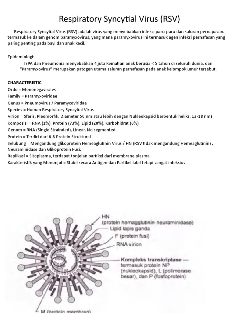 Virus RSV | PDF | Pengembangan Diri | Kesehatan Holistik