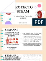1 y 2 Proyecto Steam - Distribución