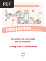 Adolescencias Juventudes e Socioeducativos - Concepcoes e Fundamentos