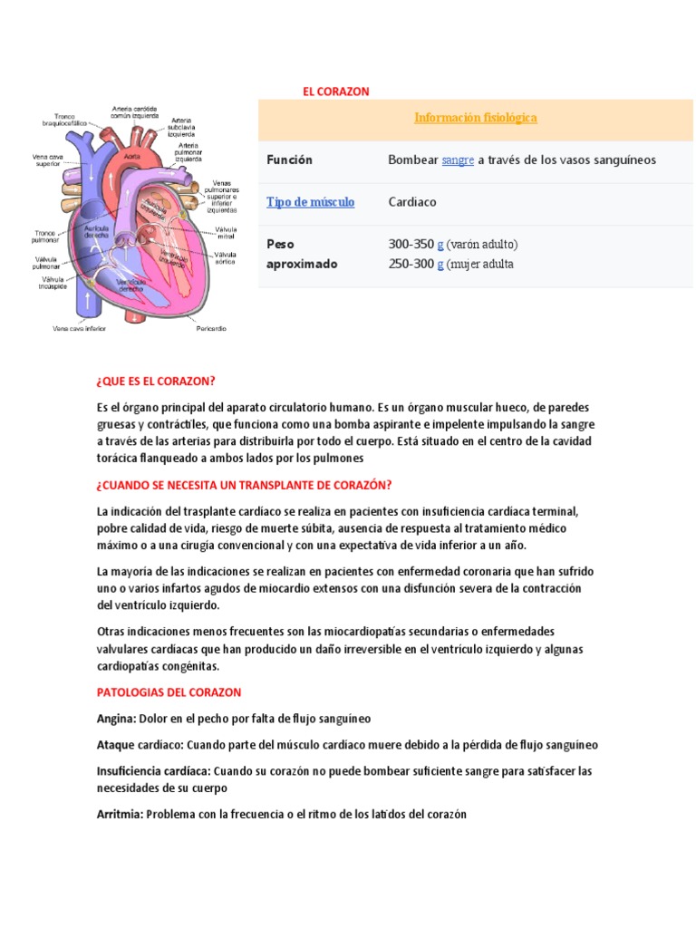 Corazón Pdf