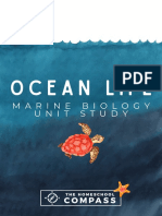 OceanLife MBStudy Smaller